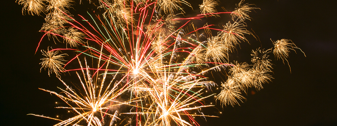foc de artificii revelion