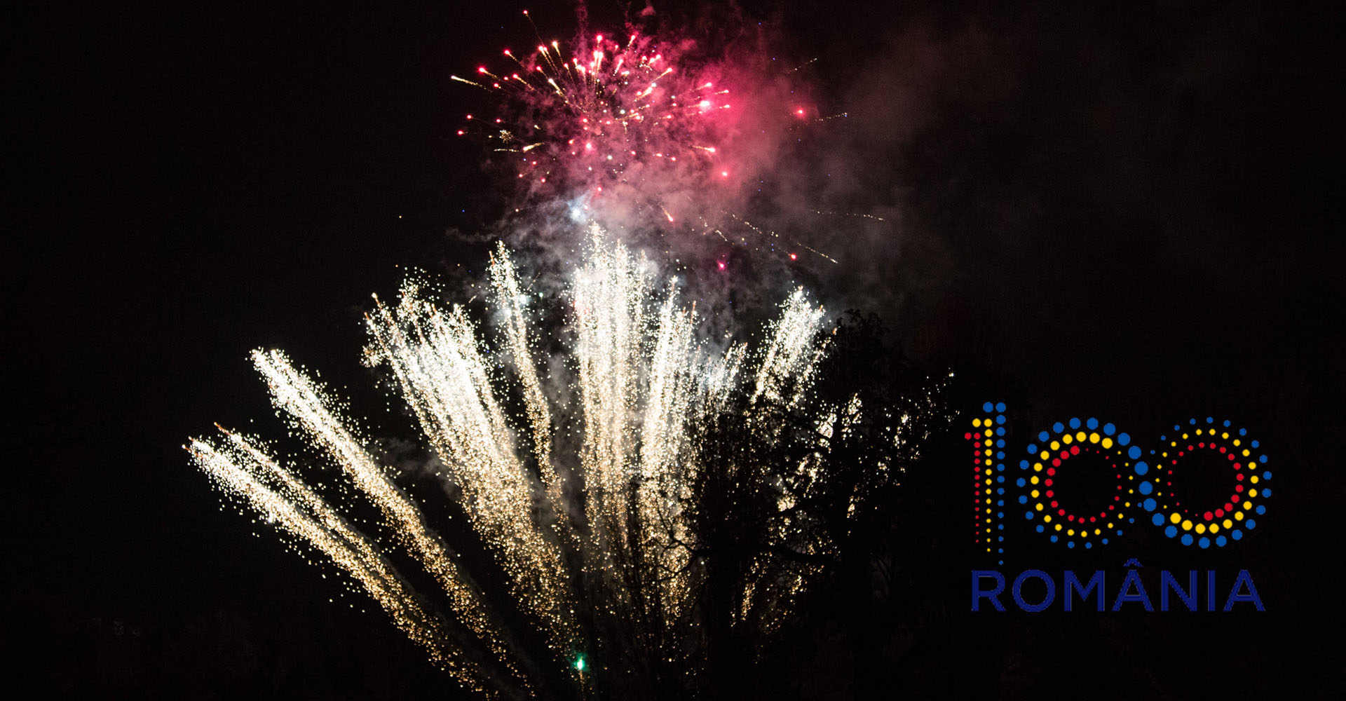 Trust Fireworks - foc de artificii Centenar
